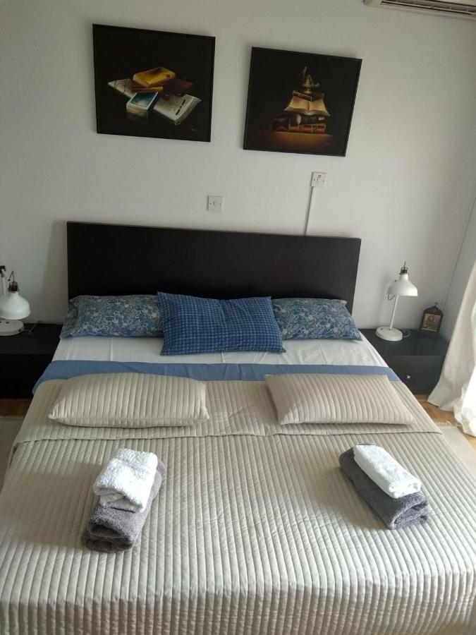 Seaside Spacious Apartment With Sea View リマソール エクステリア 写真